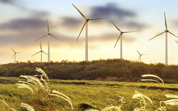Des turbines éoliennes sur un champ vert.
